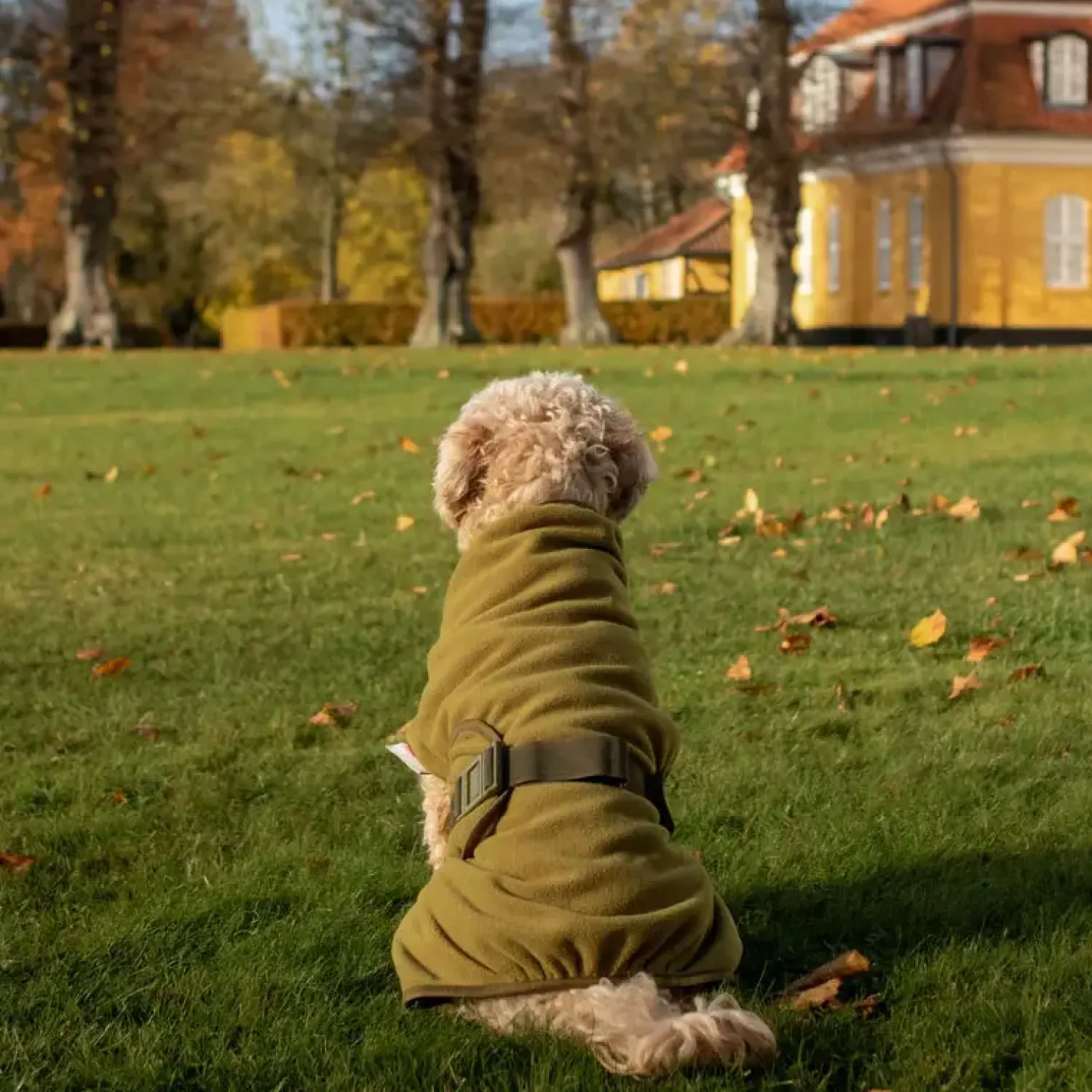 Sicarro - Fleecedække - Recovery - str. 40 (40-47 cm) - Charcoal^Siccaro Outlet