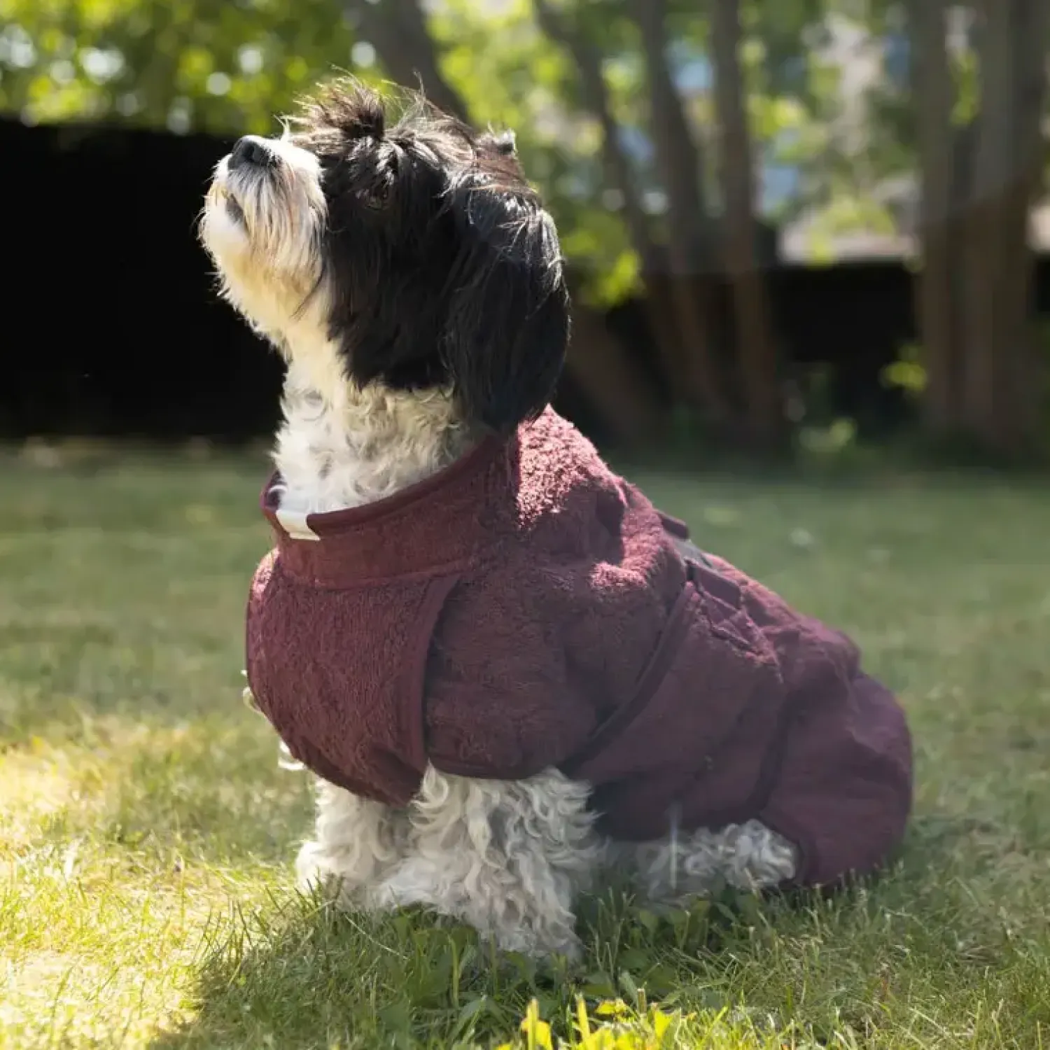 - Regndække - Smart - str. 30 - Elmwood*Siccaro