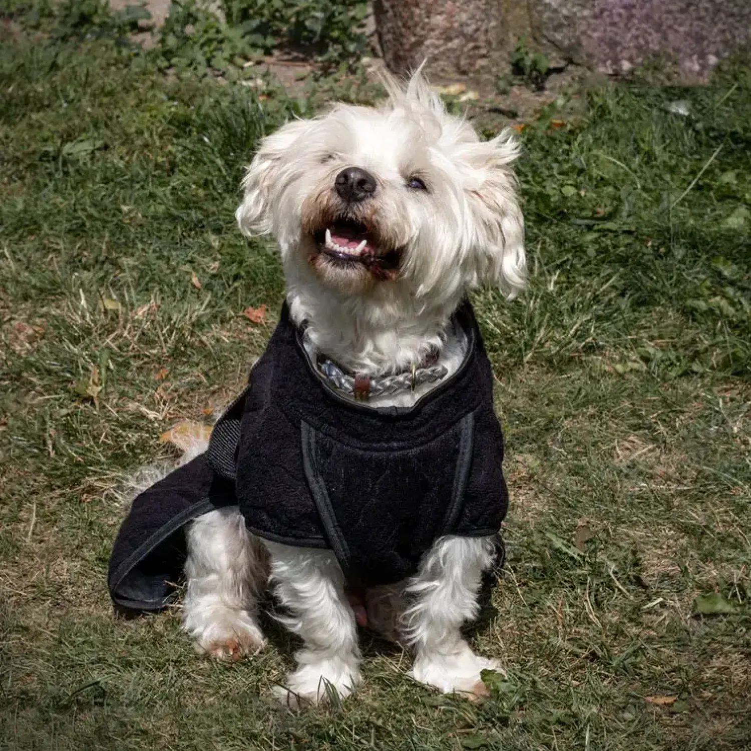 - Regndække - Smart - str. 30 - Elmwood*Siccaro