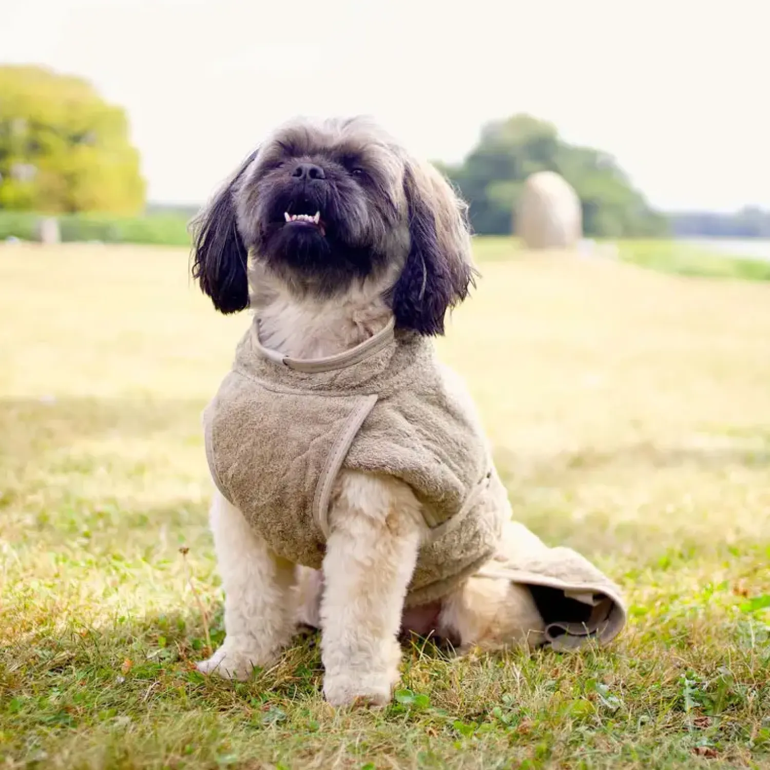 - Regndække - Smart - str. 30 - Elmwood*Siccaro