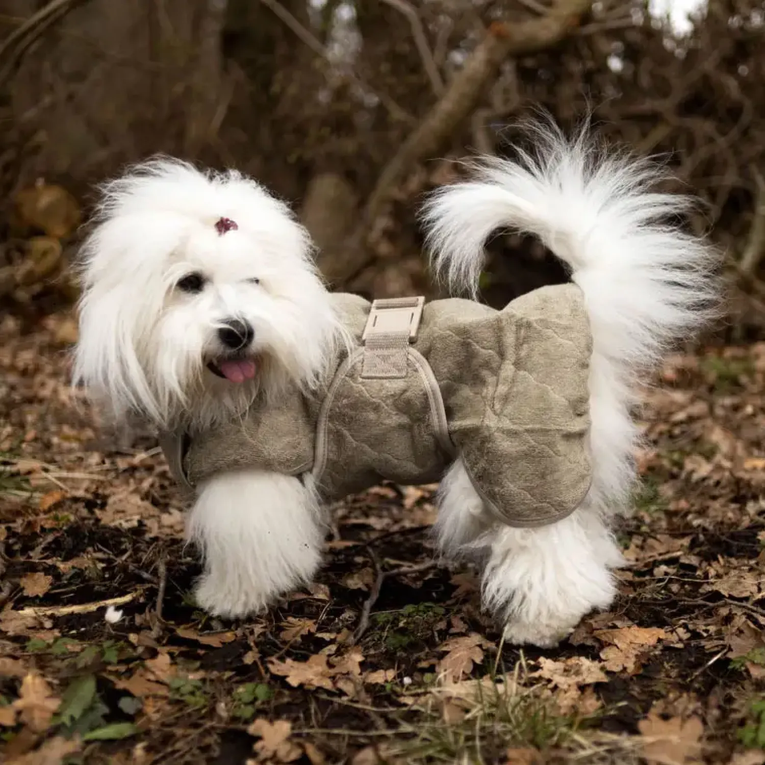 - Regndække - Smart - str. 30 - Elmwood*Siccaro