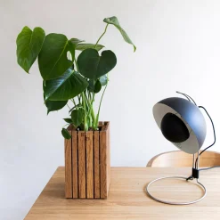 - Plantekasse - GrowSMALL - Ask Natur^Squarely Copenhagen Sale