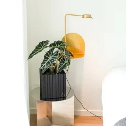 - Plantekasse - GrowON - Sort Ask*Squarely Copenhagen Online