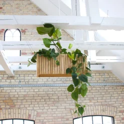 - Plantekasse - GrowWIDE - Ask Natur^Squarely Copenhagen Clearance