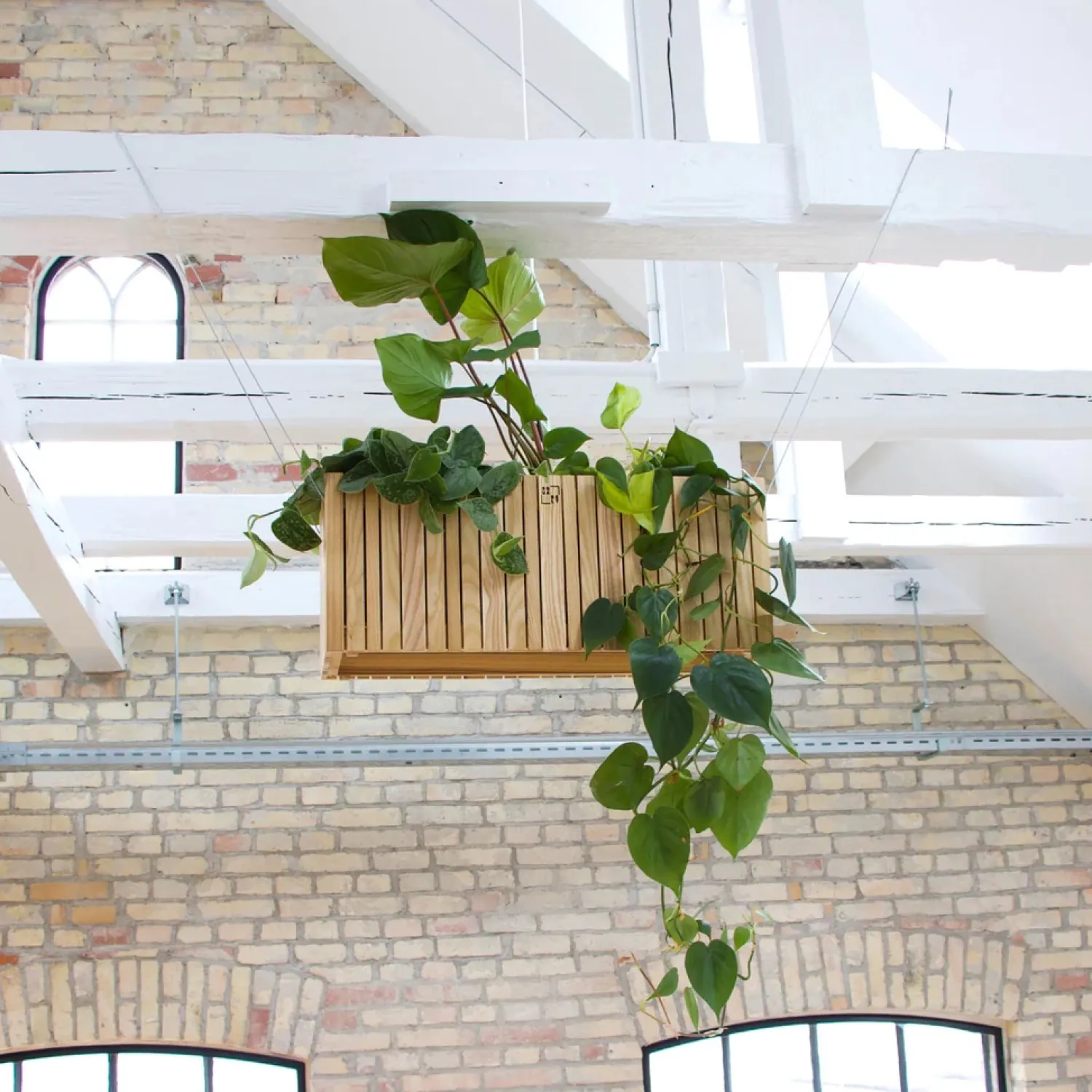 - Plantekasse - GrowWIDE - Ask Natur^Squarely Copenhagen Clearance