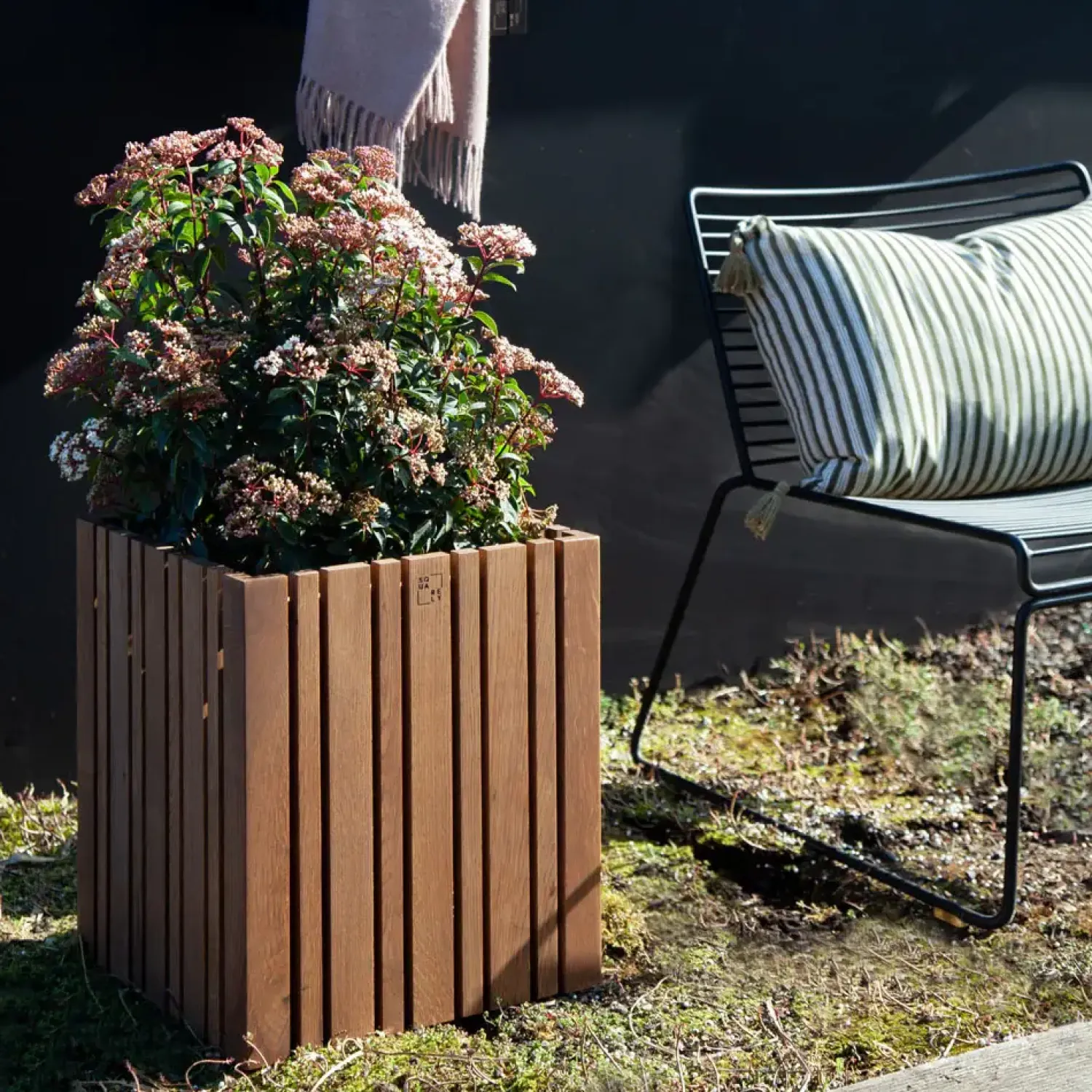 - Plantekasse - GrowMORE - Mørk Eg*Squarely Copenhagen Online