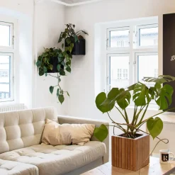 - Plantekasse - GrowON - Mørk Eg - 22 x 22 x 24 cm*Squarely Copenhagen Hot