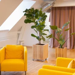 - Plantekasse - GrowBIG - Ask Natur*Squarely Copenhagen Sale