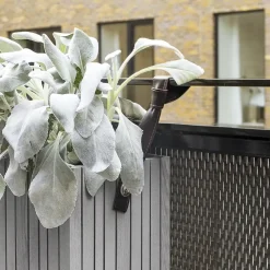 - Stropper - HoldON - Sort 38 cm - 2 stk^Squarely Copenhagen Clearance