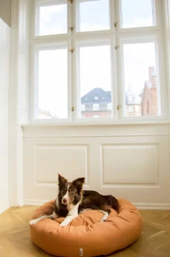 - Donut hundeseng - Lysebrun - Str. L*tadazhi Outlet