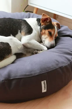 - Poespas hundeseng - Mørkegrå - 70x14 cm^tadazhi Clearance