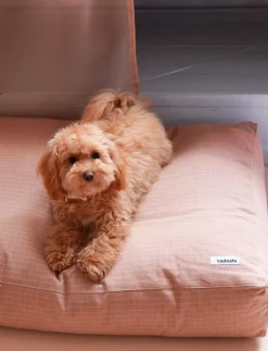 - Tobine hundeseng - Rosaternet - Str. M*tadazhi Discount