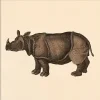 - Plakat - Rhino, Mini Print - 15x15 cm*The Dybdahl Sale