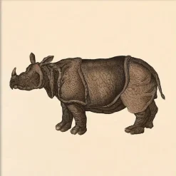 - Plakat - Rhino, Mini Print - 15x15 cm*The Dybdahl Sale