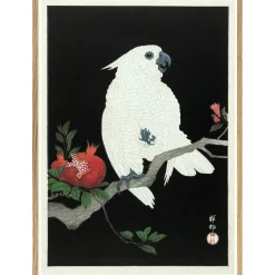- Plakat 50x70 cm. - Cockatoo & Pomegranate - Papir^The Dybdahl Best
