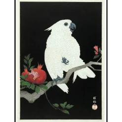 - Plakat 50x70 cm. - Cockatoo & Pomegranate - Papir^The Dybdahl Best