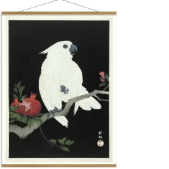 - Plakat 50x70 cm. - Cockatoo & Pomegranate - Papir^The Dybdahl Best