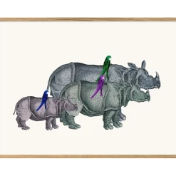 - Plakat 30x40 cm. - Rhinos and Birds - Papir^The Dybdahl Discount