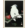 - Plakat 30x40 cm. - Cockatoo & Pomegranate - Papir*The Dybdahl Best