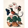 - Plakat 50x70 cm - Hummingbird, Butterflies & Flowers - Papir*The Dybdahl Hot