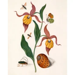 - Plakat 30x40 cm - Orange Lillies, Insects and a Shell - Papir^The Dybdahl Best