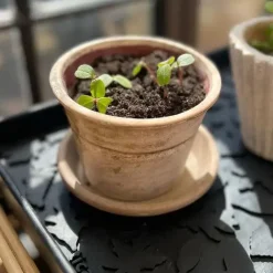 - Skobakke - Dot Design - Medium^Tica Copenhagen Discount