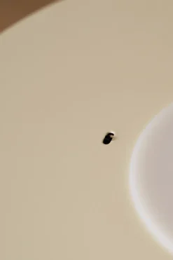 - Loftlampe - Asteria Up - Pearl white - Mini Ø31 cm^Umage Clearance