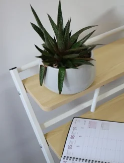 - Folde bord - HOMY - Bøg/Hvid*Unilux