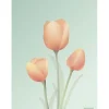 - Tulipaner plakat, mint - 30x40 cm^VISSEVASSE Best